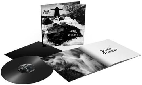 Luck And Strange - Vinyle 33 Tours