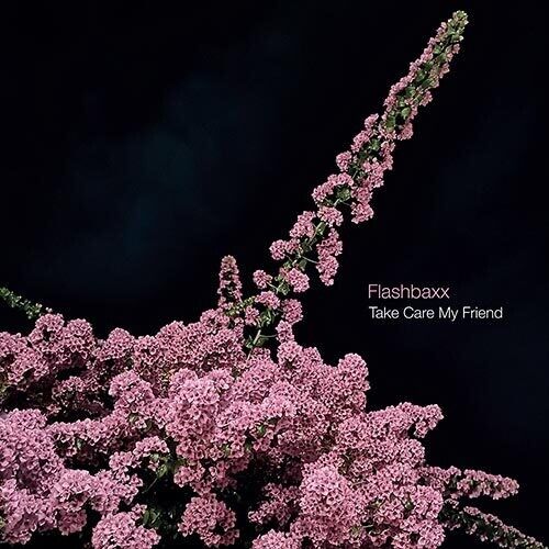 Flashbaxx - Take Care My Friend [Vinyl Lp]
