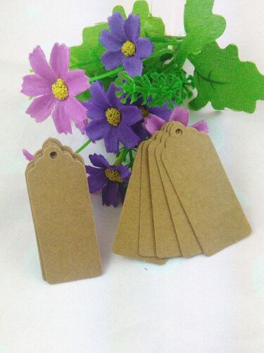 Étiquettes En Papier Kraft Brun, 60X25Mm, Tête En Dentelle, Étiquette De Bagage, Note De Mariage, Cadeaux, Étiquettes De Prix Vierges, Collection 2015 9109-May14A15061