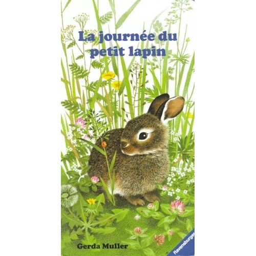 La Journee Du Petit Lapin