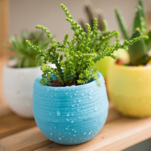 Pots De Fleurs Succulents Mini Bureau, Décoration De Maison, Couleurs Mélangées 10 Pièces/Ensemble 9109-May14A07967
