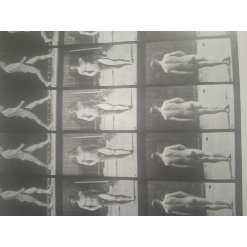 Edweard Muybridge The Male And Female Figure In Motion 60 Classic Photographic Sequence