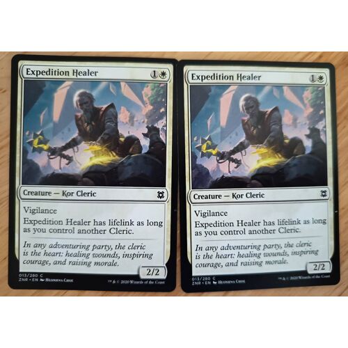 Expedition Healer // Guérisseur D'Expédition (Renaissance De Zendikar)
