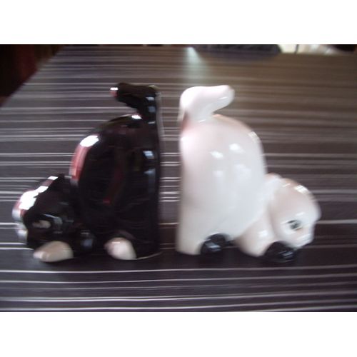 serre livres chats noir et blanc