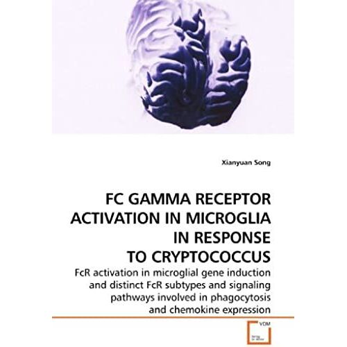 Fc Gamma Receptor Activation In Microglia In Response To Cryptococcus: Fcr Activation In Microglial Gene Induction And Distinct Fcr Subtypes And ... In Phagocytosis And Chemokine Expression