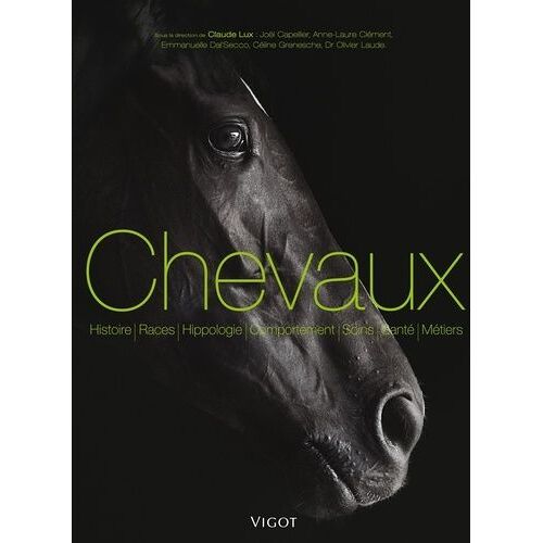 Chevaux Et Équitations