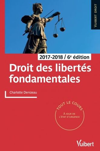 Droit Des Libertés Fondamentales (Denizeau Charlotte) + Les Libertés En Questions (Bernard Stirn)