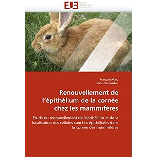 Renouvellement De L''épithélium De La Cornée Chez Les Mammifères