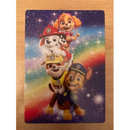(3077) Carte Panini N’60 Pat Patrouille 