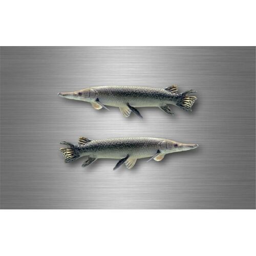 2x Autocollant Sticker Voiture Moto Peche Brochet Poisson Pecheur