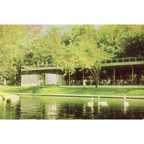 Carte Postale Ancienne - 1965 -Non Ecrite Alima - Ata ( Actuellement Almaty - Kazakhstan ) - Cafe Akku - 14 Cm X 9.30 Cm