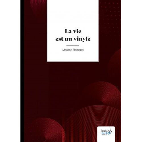 La Vie Est Un Vinyle