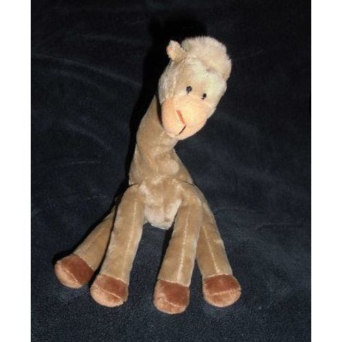 Bambino Peluche Dromadaire Dubaï
