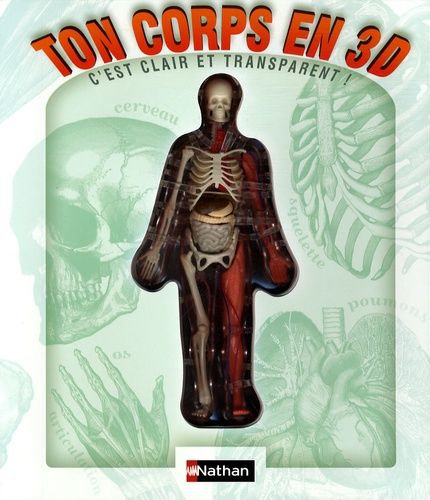 Ton Corps En 3d - C'est Clair Et Transparent !
