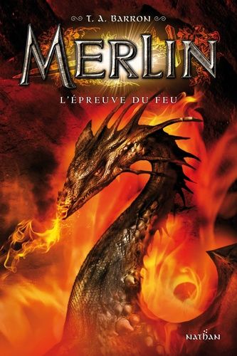 Merlin - Tome 3 - L'épreuve Du Feu