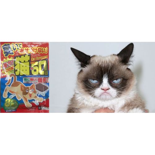 Répulsif Pour Chats Efficace | Stop Aux Odeurs D'urine Pipi | Interieur Exterieur | Jardin Garage Maison | Qualité Japon