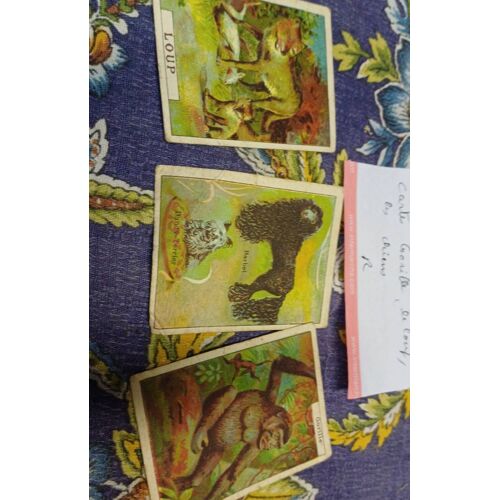 Cartes Gorille, Le Loup, Les Chiens