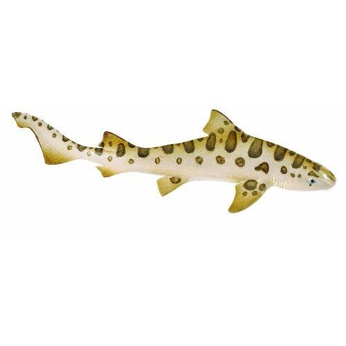 Requin Leopard
