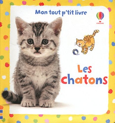 Les Chatons - Mon Tout P'tit Livre