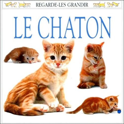 Le Chaton