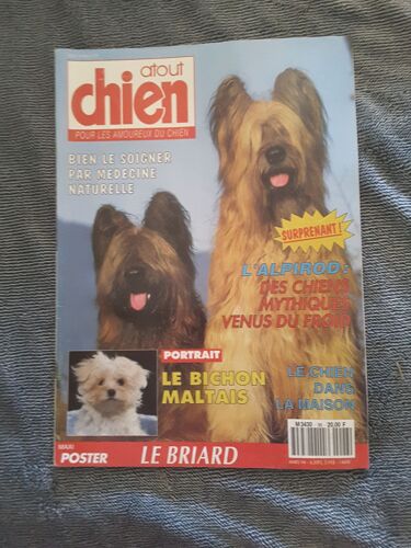 Atout Chien  N° 96