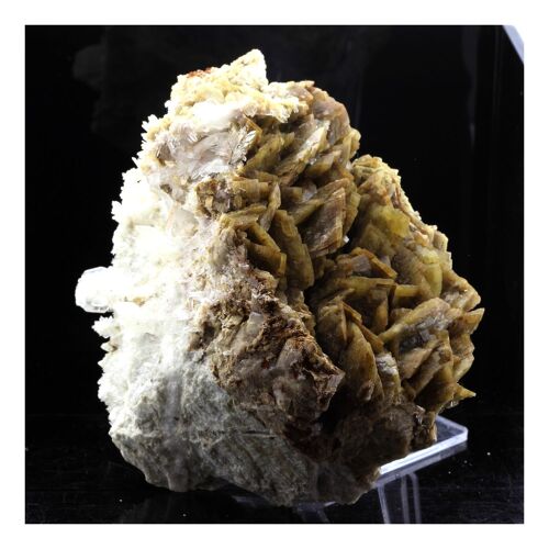 Siderite, Quartz. 3869.0 Ct. Saint-Pierre-De-Mésage, Isère, France..