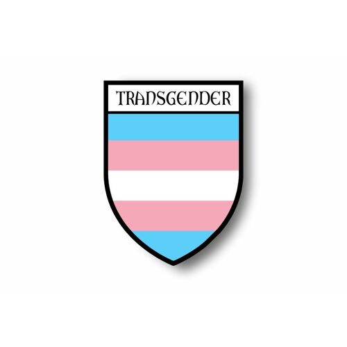Autocollant Sticker Voiture Moto Blason Drapeau Bisexual Arc En Ciel Rainbow