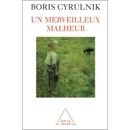 Un Merveilleux Malheur