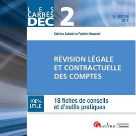 Révision Légale Et Contractuelle Des Comptes Dec Epreuve 2 - 18 Fiches De Conseils Et D'outils Pratiques