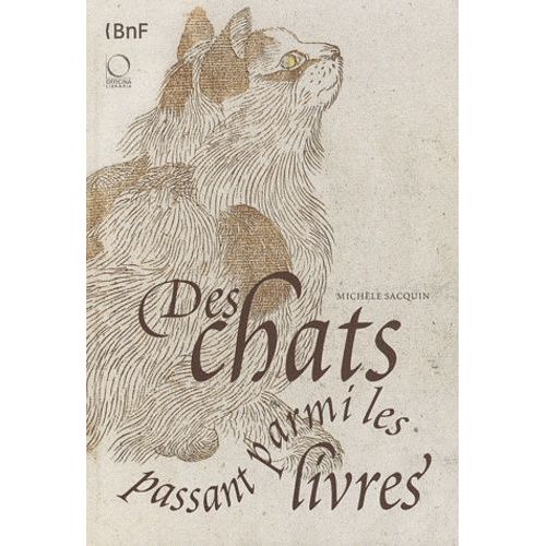 Des Chats Passant Parmi Les Livres