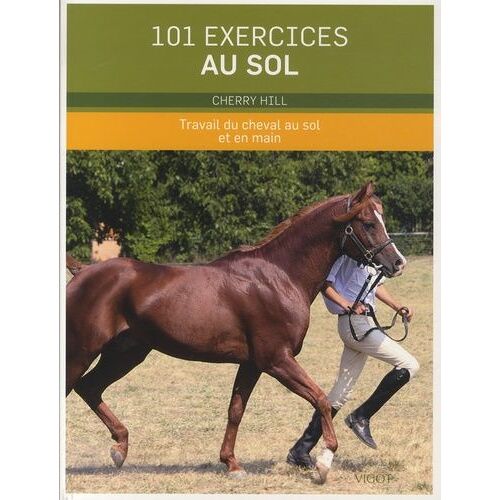 101 Exercices Au Sol