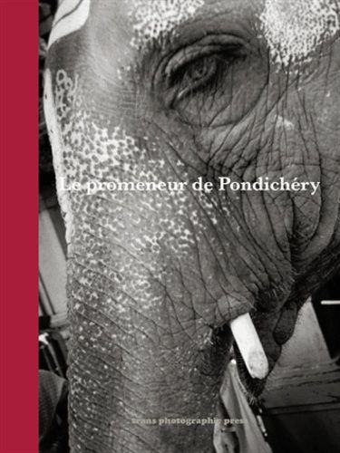 Le Promeneur De Pondichéry