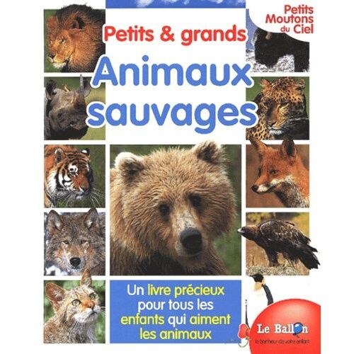Petits & Grands Animaux Sauvages
