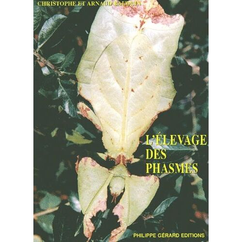 L'élevage Des Phasmes