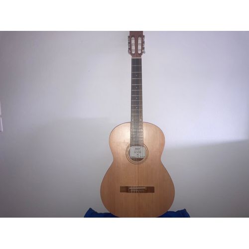 Guitare Shiver Gcs-4/4 One