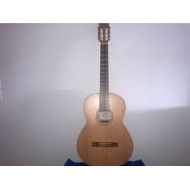 Guitare Shiver Gcs-4/4 One