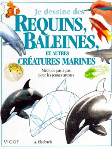 Je Dessine Des Requins, Baleines, Et Autres Créatures Marines