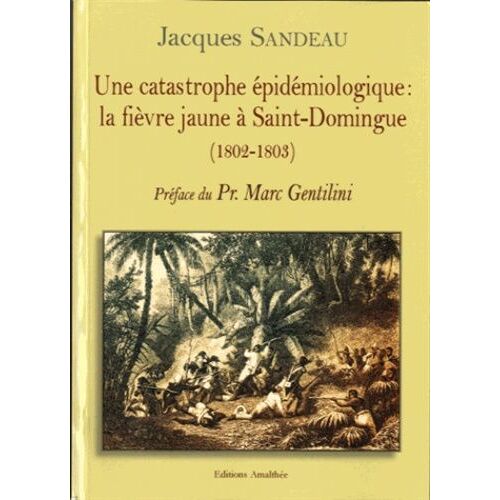 Une Catastrophe Épidémiologique : La Fièvre Jaune À Saint - Domingue (1802-1803)
