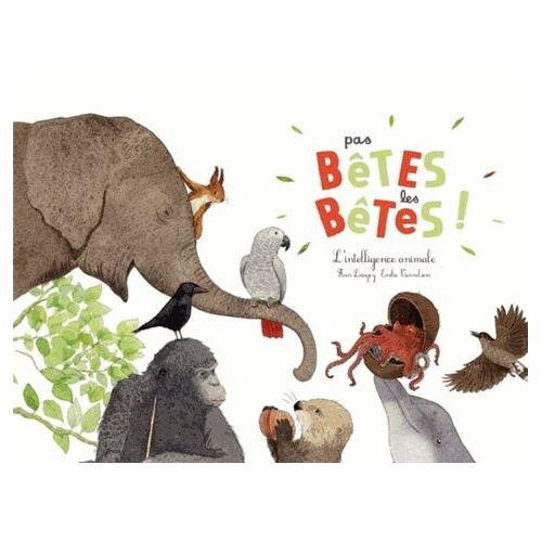 Pas Bêtes Les Bêtes ! - L'intelligence Animale