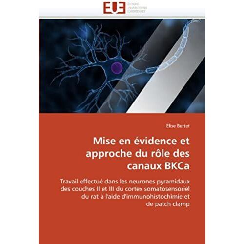 Mise En Évidence Et Approche Du Rôle Des Canaux Bkca