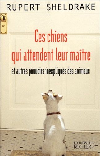 Ces Chiens Qui Attendent Leur Maitre Et Autres Pouvoirs Inexpliques Des Animaux