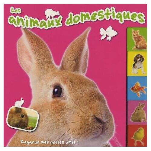 Les Animaux Domestiques - Regarde Mes Petits Amis !