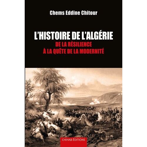 Histoire De L?Algérie - De La Résilience À La Quête De La Modernité