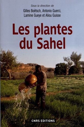 Les Plantes Du Sahel - Usages Et Enjeux Sociaux