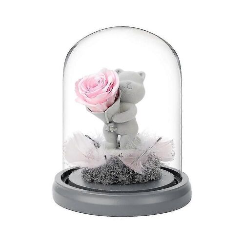 Fleur Préservée Rose Confession Ours En Verre Dôme Cadeau Pour La Saint-Valentin Fête Des Mères Anniversaire-Rose