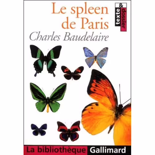 Le Spleen De Paris - (Petits Poemes En Prose)