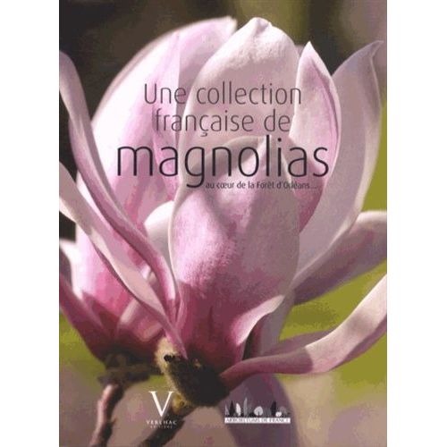 Une Collection Française De Magnolias - Arboretum Des Grandes Bruyères, Au Coeur De La Forêt D'orléans