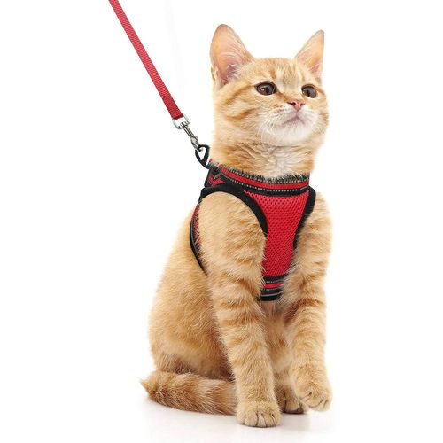 Ensemble Harnais Et Laisse Pour Chat,Pour La Marche,L'évasion,Gilet Pour Chatons Doux Et Réglable Avec Bande Réfléchissante Pour Chats,Confortable.Rouge.M