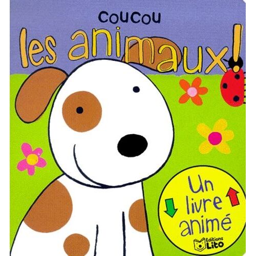 Clovis Le Chien