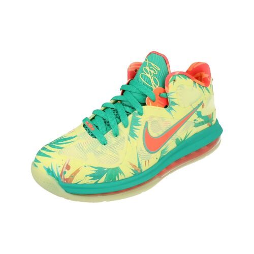 Nike Lebron Ix Low Basketball Trainers Do9355 300